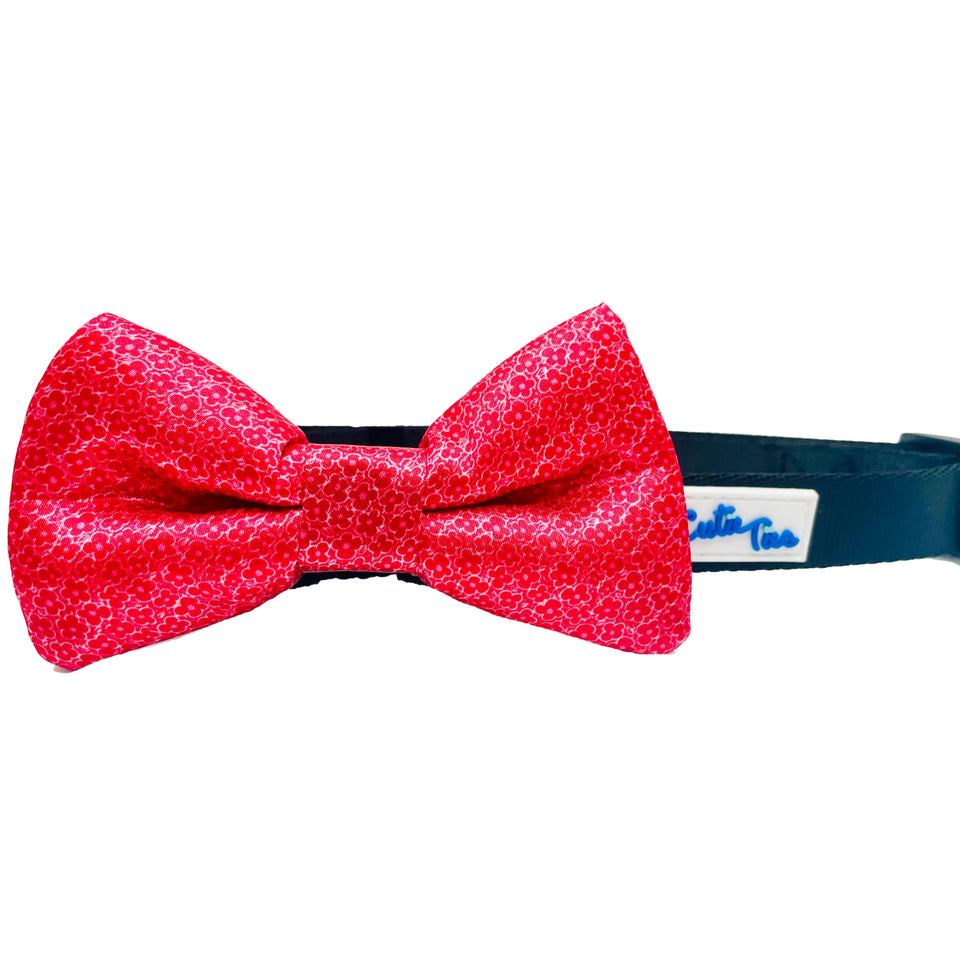 Cutie Ties Dog Bow Tie - Fun Print Dog Collar Accessory, Blue cheetah/ONE SIZE, view 15