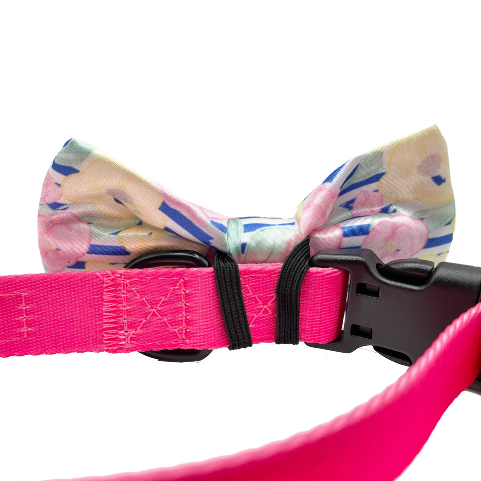Cutie Ties Dog Bow Tie - 14 Playful Designs, view 17