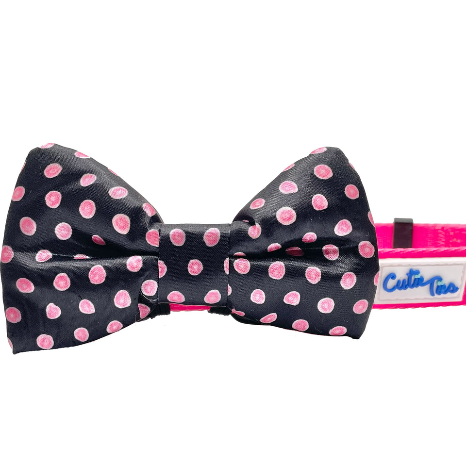 Cutie Ties Dog Bow Tie - Fits All Collars, Ice cream sprinkles/ONE SIZE, view 4