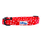 Cutie Ties Fun Design Dog Collar in red with white paw prints and hearts, adjustable with black buckle and ring