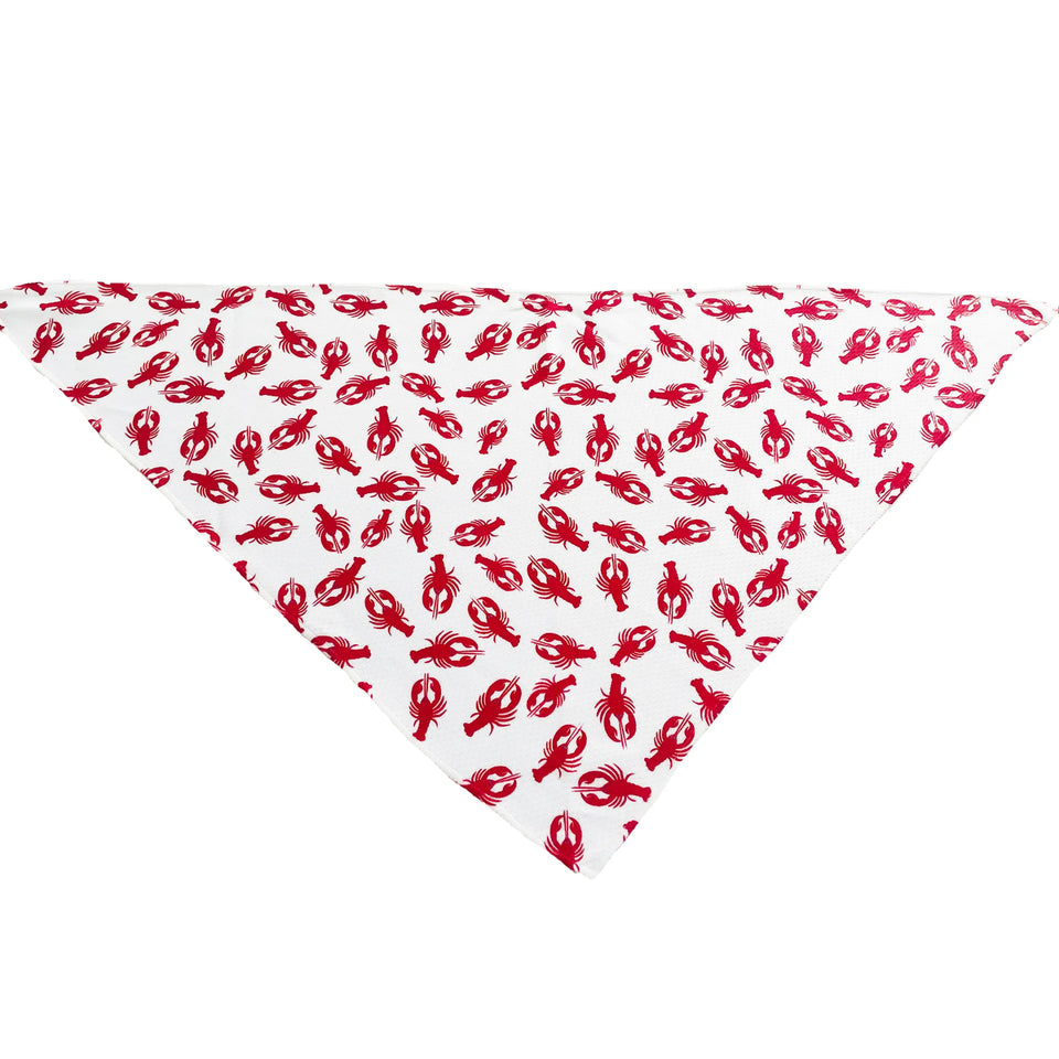 Cutie Ties Tie On Dog Bandana, Happy birthday/SMALL, view 9