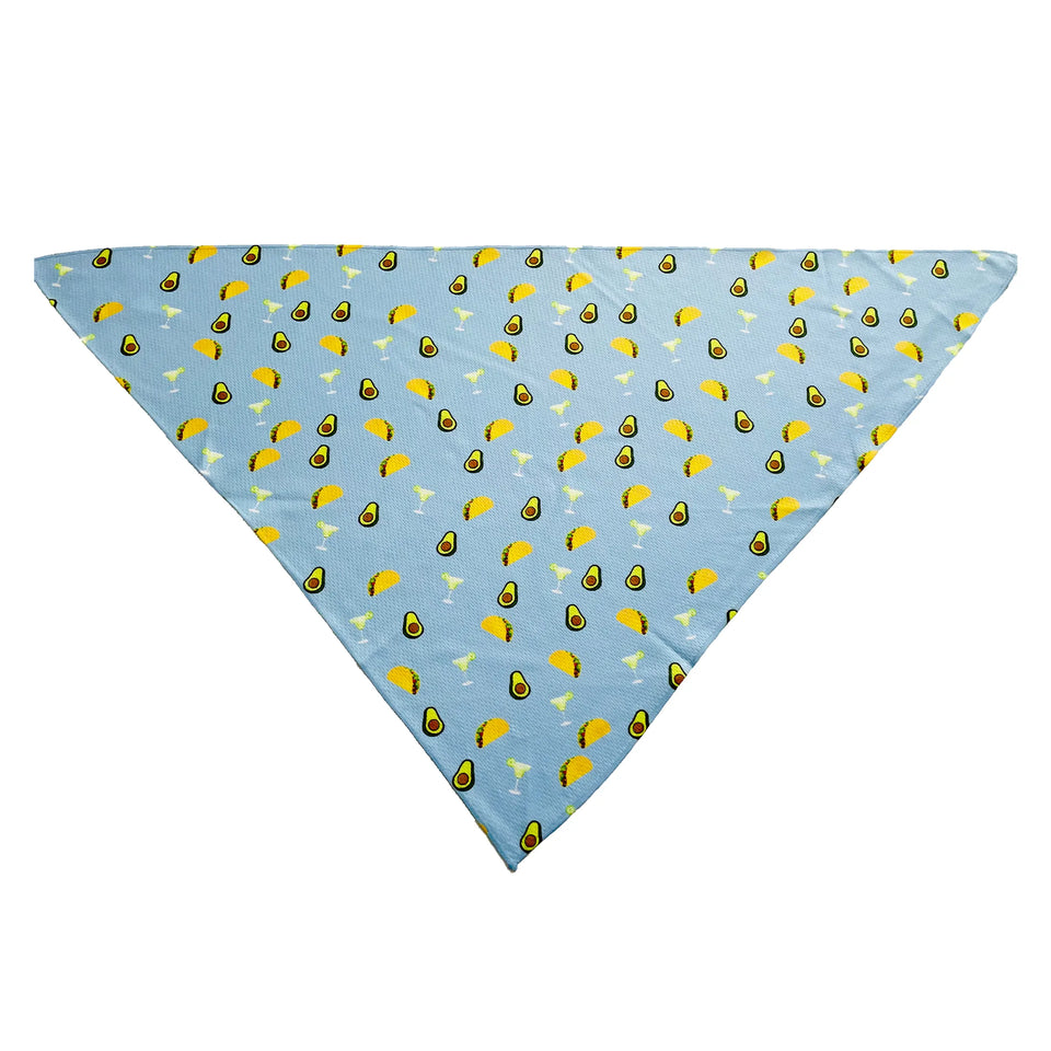 Cutie Ties Tie On Dog Bandana, Taco tuesday/LARGE, view 16