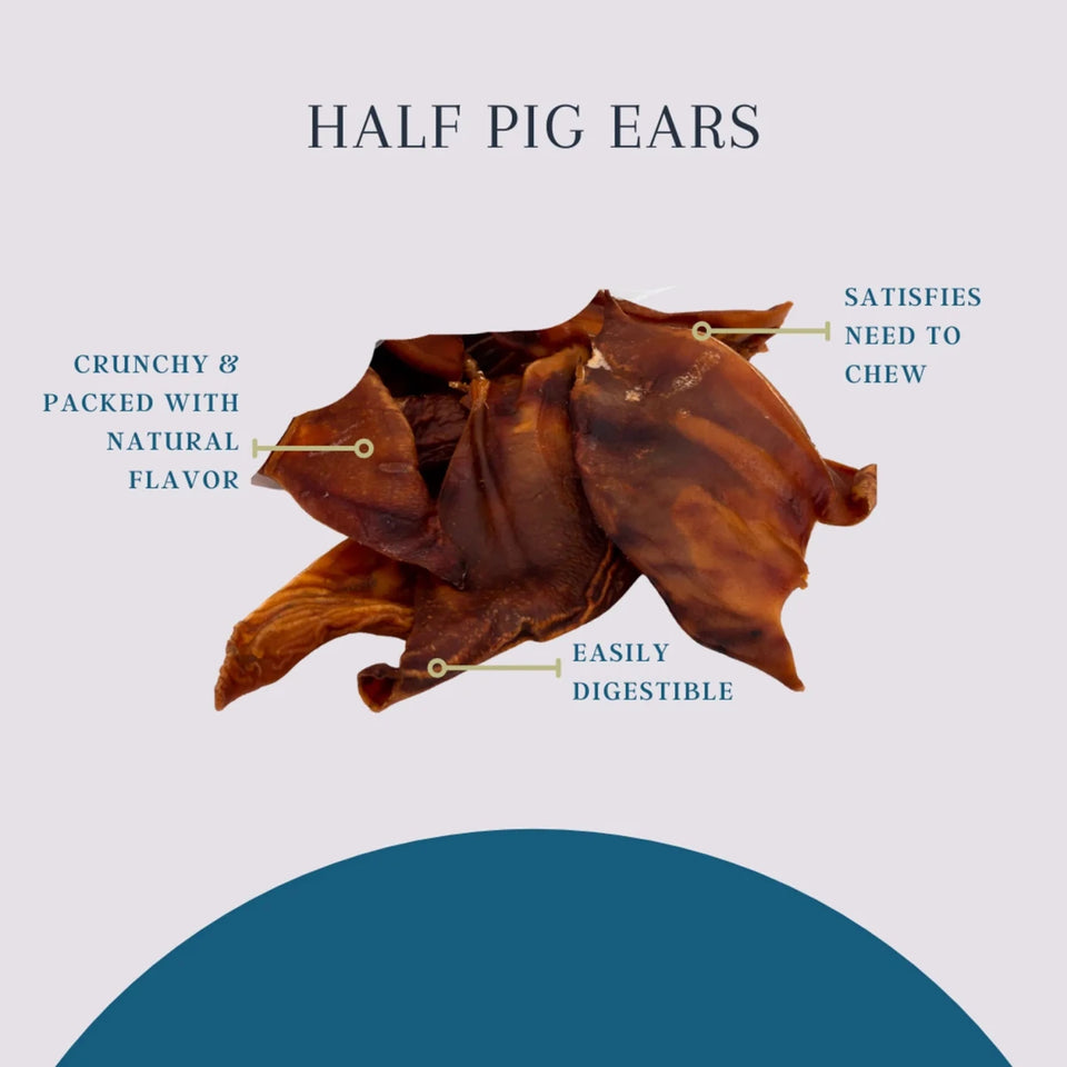 Platinum Pet Dog Treats - Half Pig Ear (25 ct) - Pets Perfect