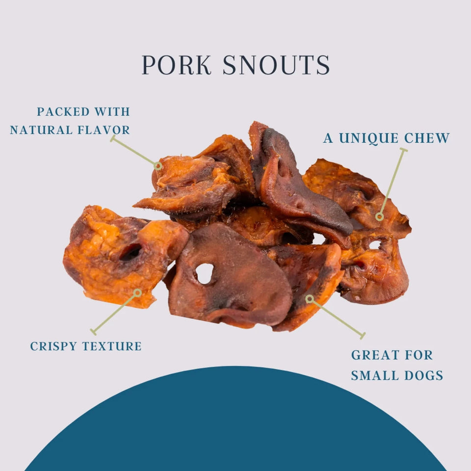 Platinum Pet Dog Treats - Pork Snouts (10 ct) - Pets Perfect