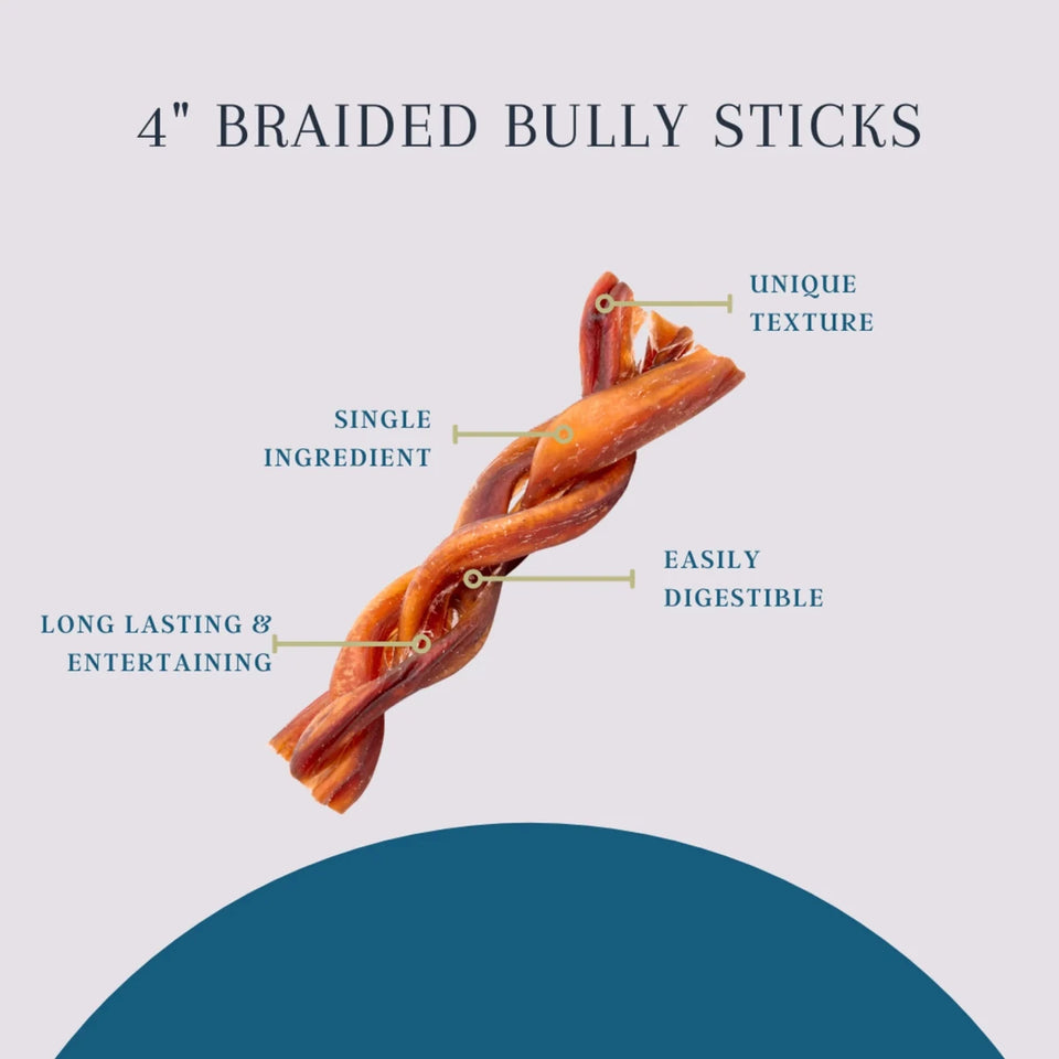 Platinum Pet Dog Treats - 4" Braided Bully Sticks - 8 oz - Pets Perfect