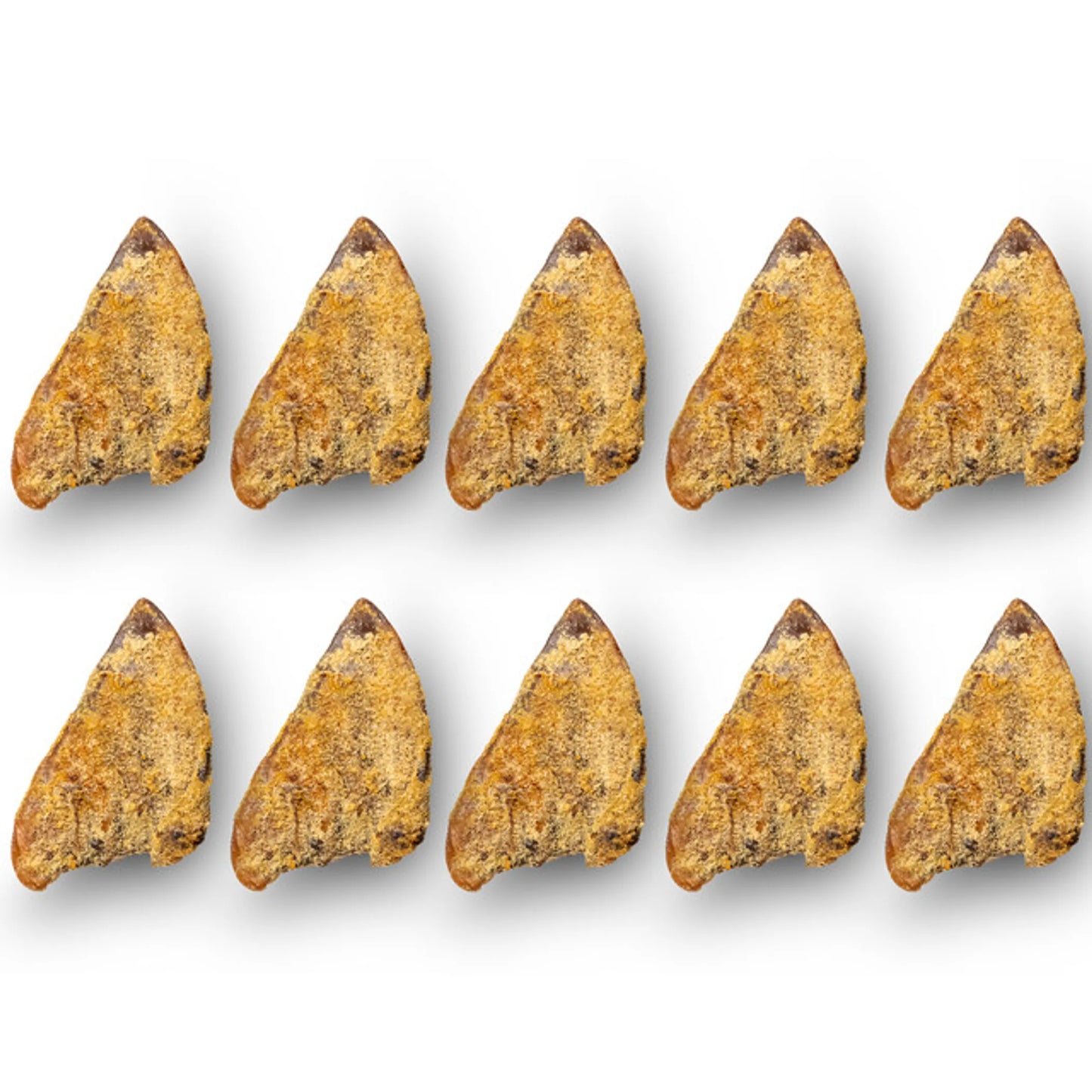Ten natural pig ear treats arranged in two rows, product Platinum Pet Treats - Super Pig Ears (Pack of 10).