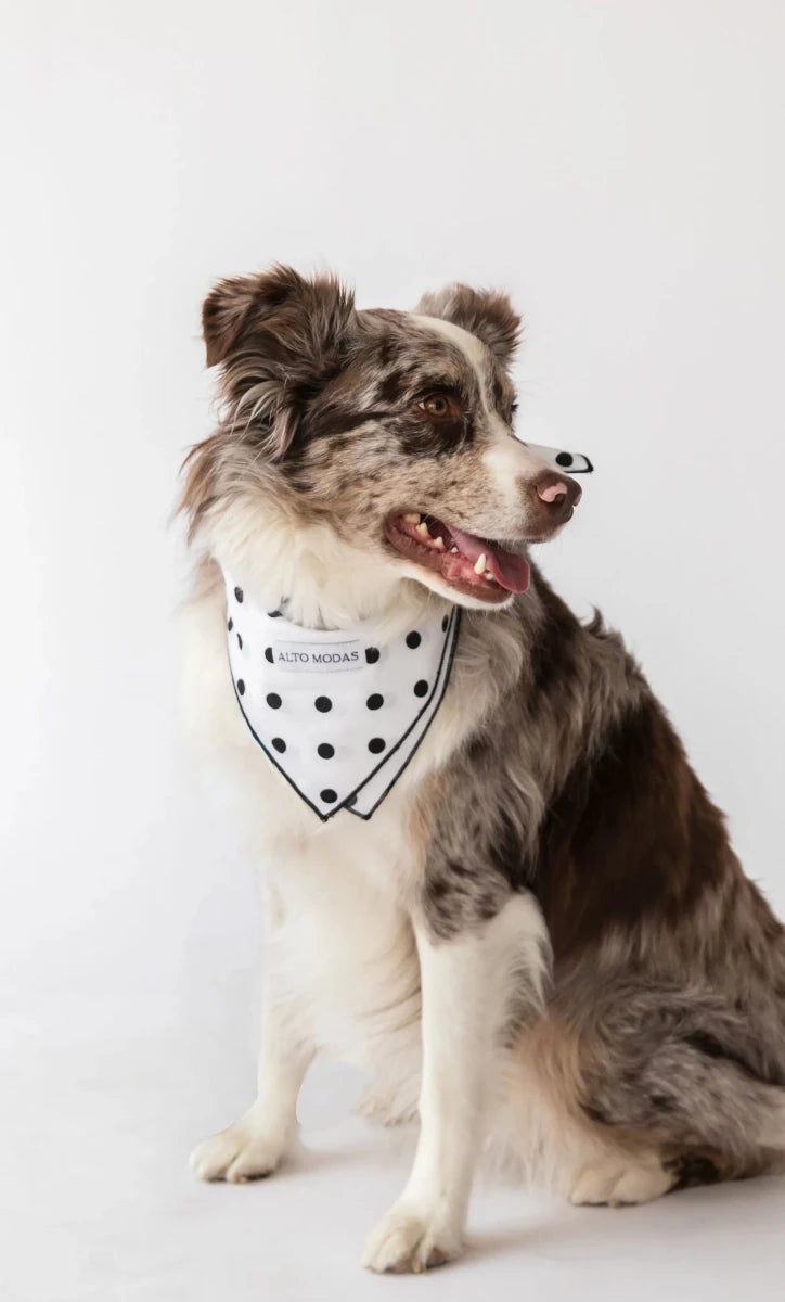Buddy Dog Bandana - 100% Soft Cotton, Handcrafted by Alto Modas - Pets Perfect
