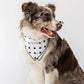 Buddy Dog Bandana - 100% Soft Cotton, Handcrafted by Alto Modas