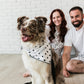 Buddy Dog Bandana