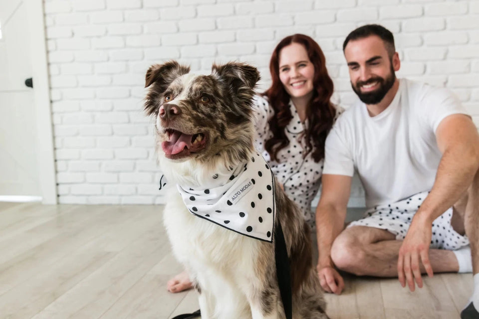 Buddy Dog Bandana - 100% Soft Cotton, Handcrafted by Alto Modas - Pets Perfect