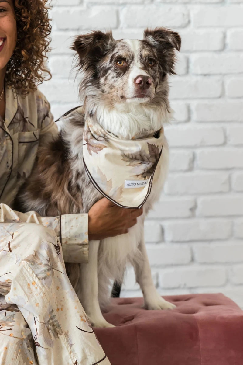 Buddy Dog Bandana - 100% Soft Cotton, Handcrafted by Alto Modas - Pets Perfect