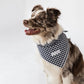 Buddy Dog Bandana - 100% Soft Cotton, Handcrafted by Alto Modas