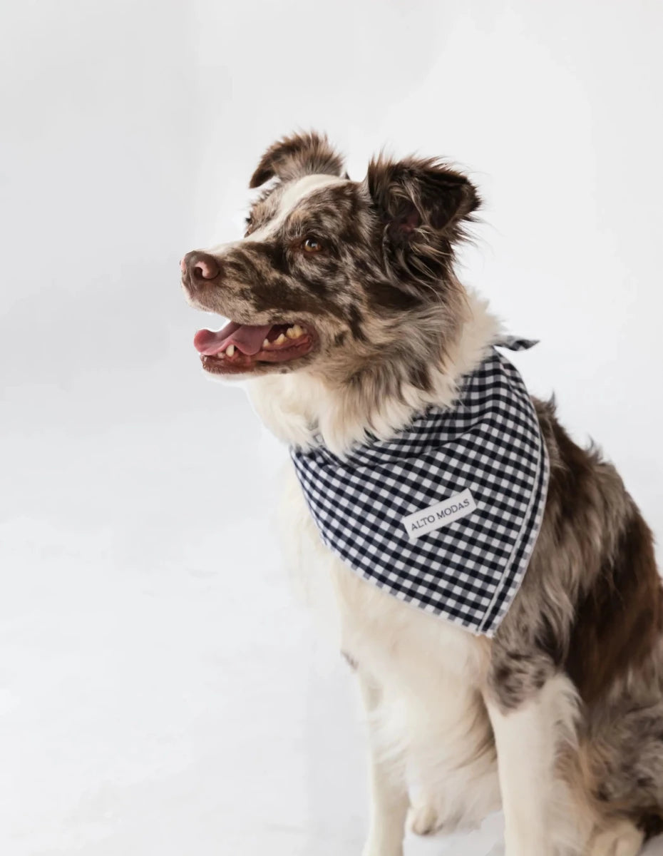 Buddy Dog Bandana - 100% Soft Cotton, Handcrafted by Alto Modas - Pets Perfect