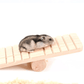 Pet Playtime Wooden Seesaw: A Fun And Durable Toy For Small Animals.