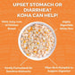 Koha Dog Bland Diet Chicken Rice 12.5oz. (Case of 6) - Pets Perfect