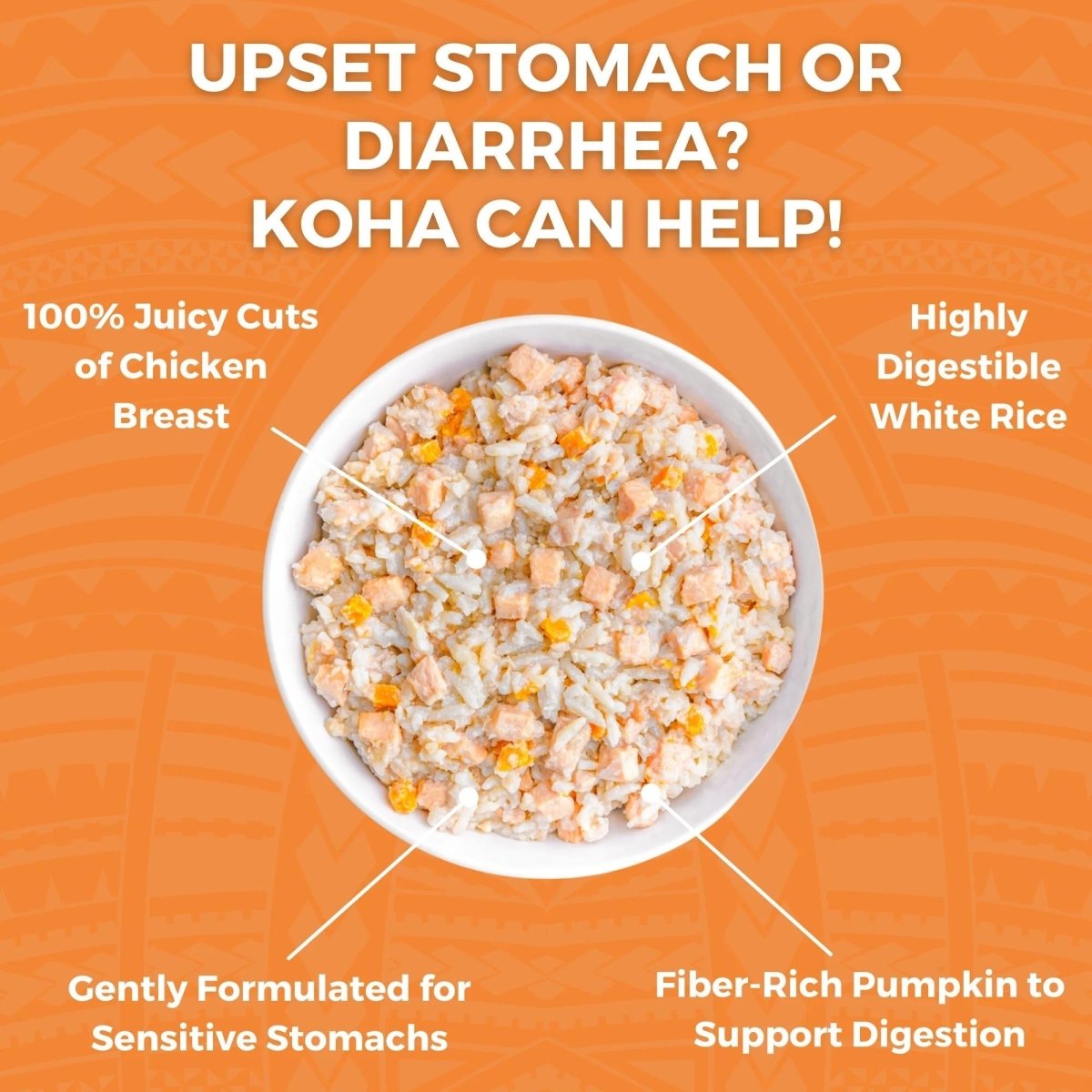Koha Dog Bland Diet Chicken Rice 12.5oz. (Case of 6) - Pets Perfect