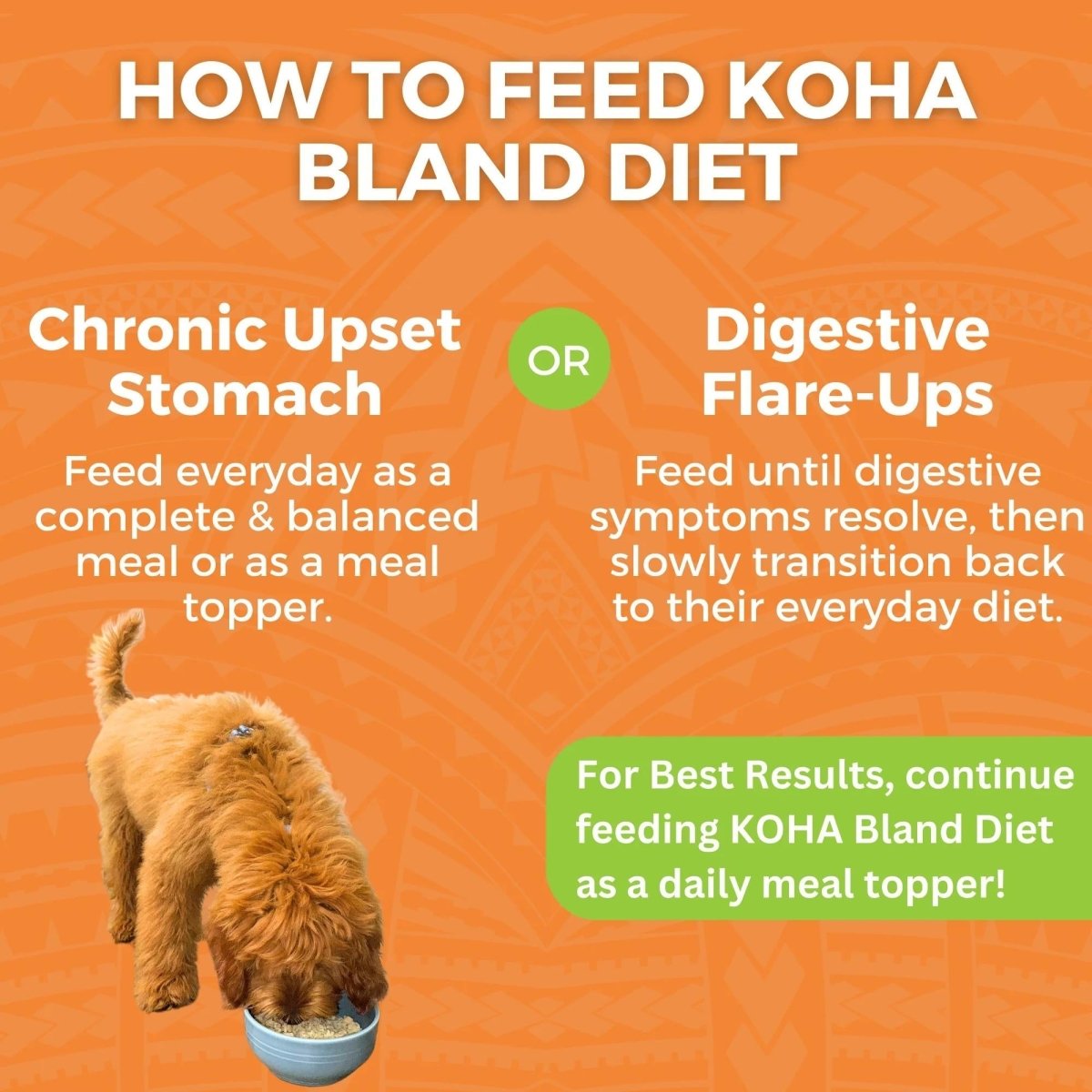 Koha Dog Bland Diet Chicken Rice 12.5oz. (Case of 6) - Pets Perfect