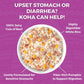 Koha Dog Bland Diet Beef Rice 12.5oz. (Case of 6) - Pets Perfect
