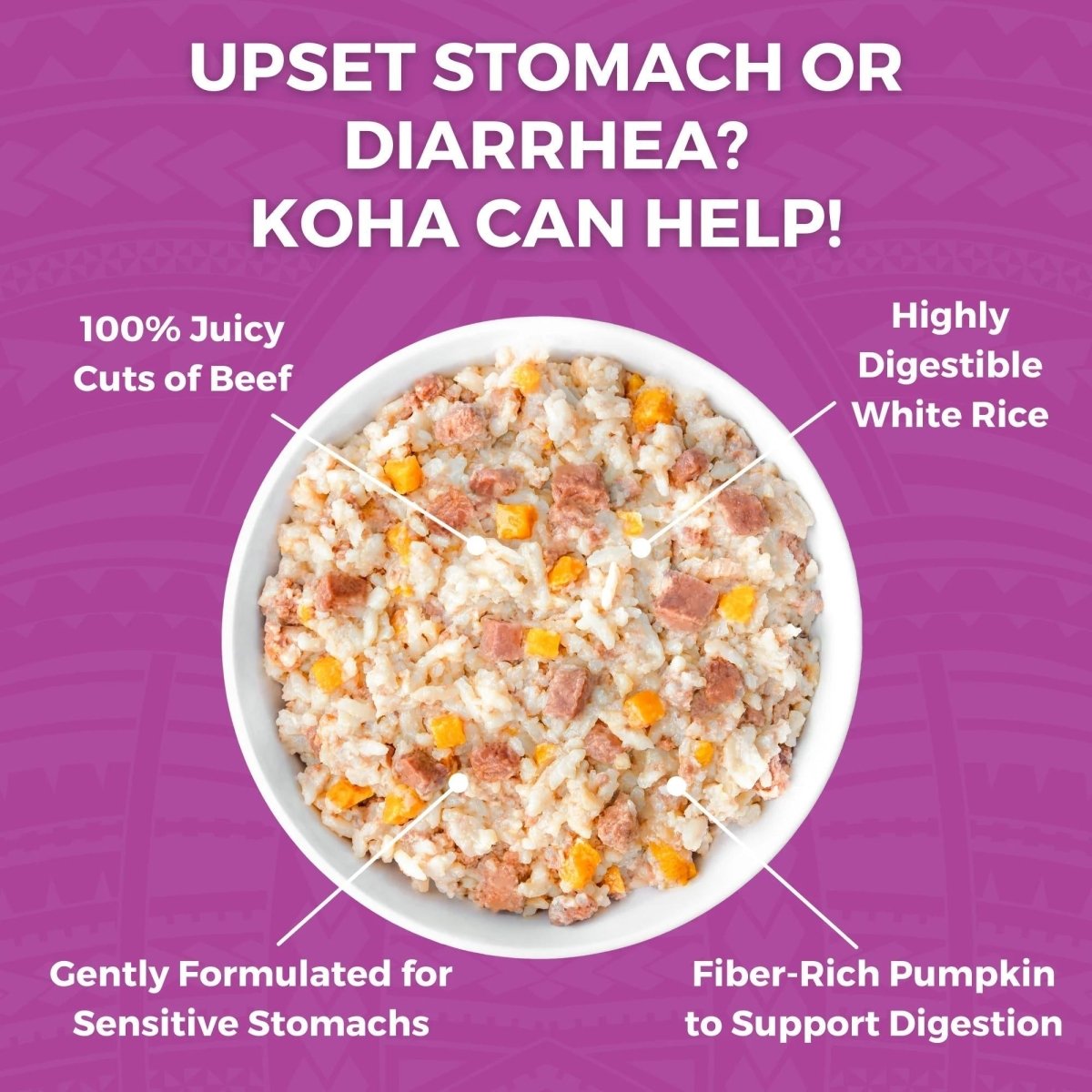 Koha Dog Bland Diet Beef Rice 12.5oz. (Case of 6) - Pets Perfect