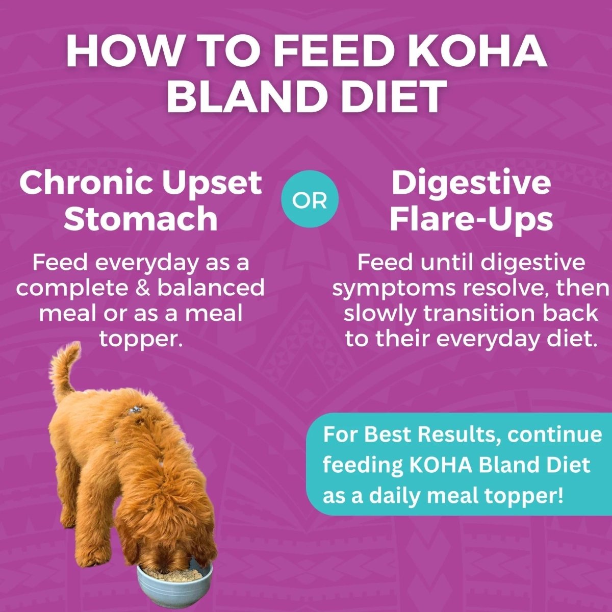Koha Dog Bland Diet Beef Rice 12.5oz. (Case of 6) - Pets Perfect