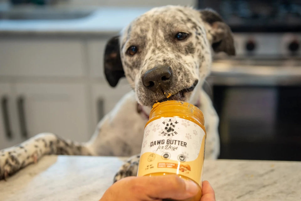 Paw Power Nutrition Dawg Butter Dog Treats - Pets Perfect
