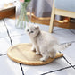 Wall Mounted Cat Scratcher Board With Suction Cup Toy - Pets Perfect
