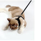 Ultimate Grip Cat Harness - Pets Perfect
