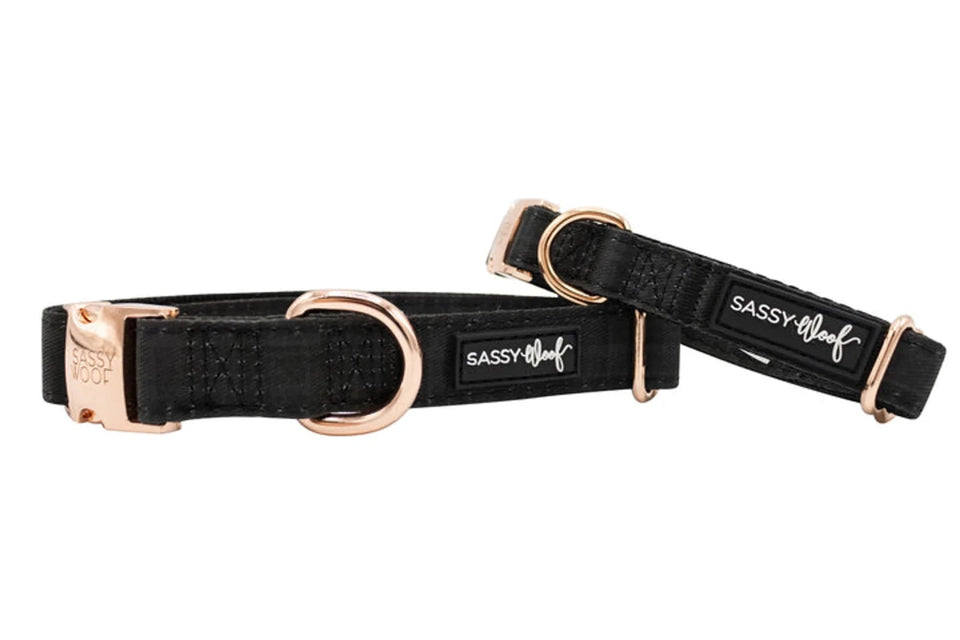 Dog Collar - Pets Perfect