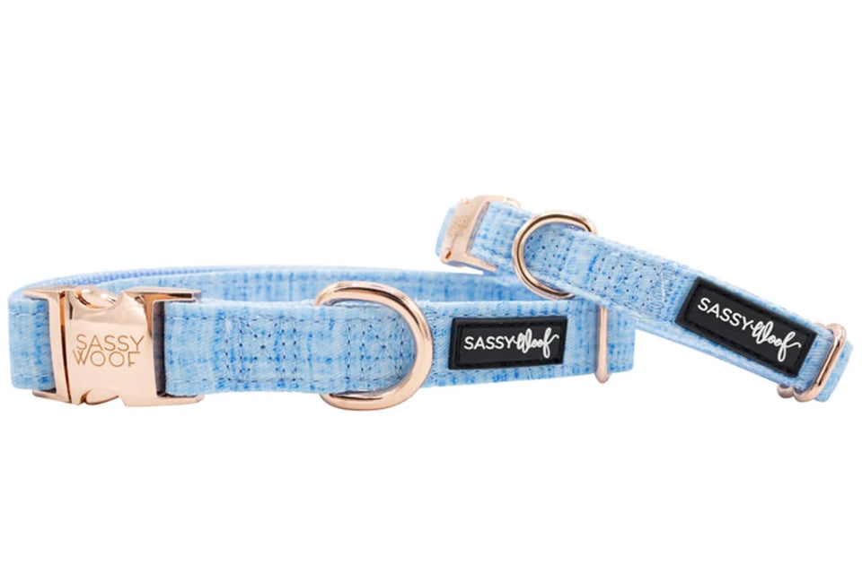 Light blue Sassy Woof dog collar with blush accents and rose-gold-tone hardware