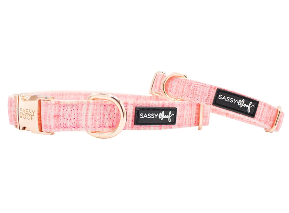 Dog Collar - Pets Perfect