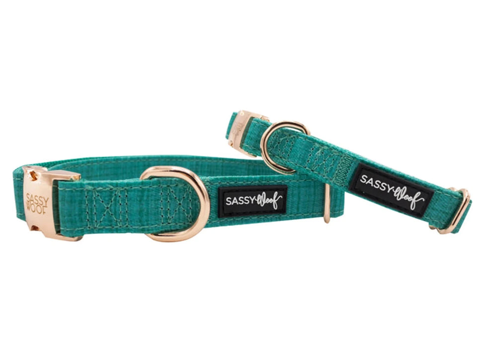 Teal-green Sassy Woof dog collar with rose-gold-tone hardware and black logo labels