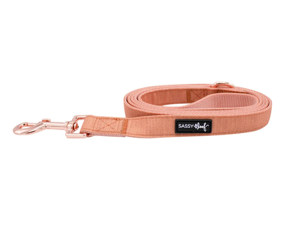 Dog Leash - Pets Perfect