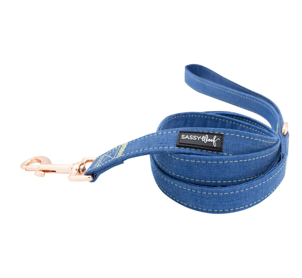 Dog Leash - Pets Perfect