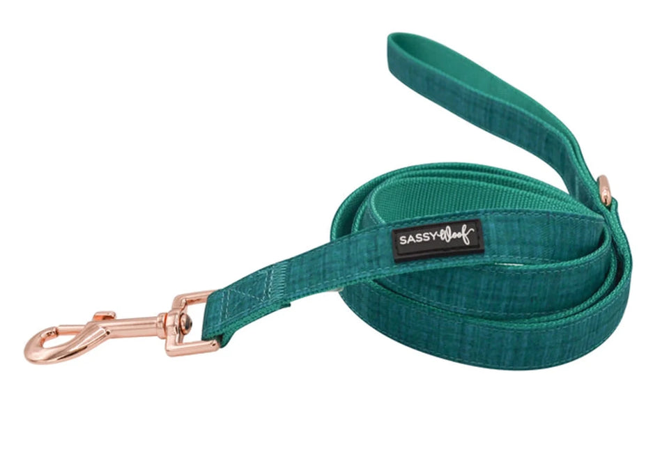 Dog Leash - Pets Perfect