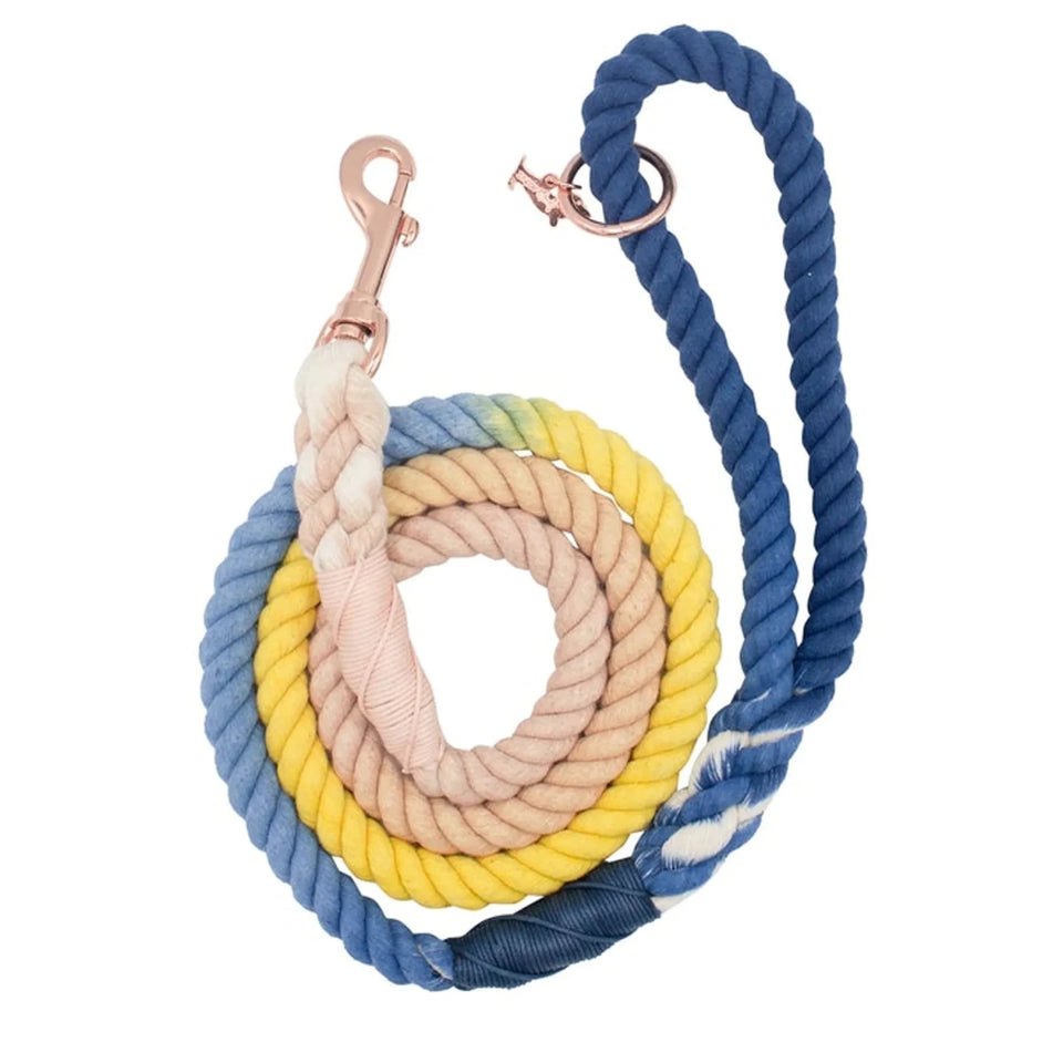 Rope Dog Leash - 5 ft - Pets Perfect
