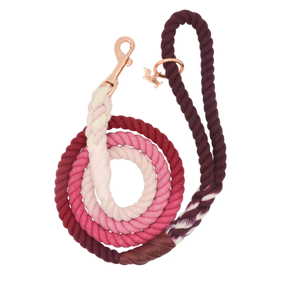 Rope Dog Leash - 5 ft - Pets Perfect