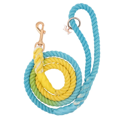 Rope Dog Leash - 5 ft - Pets Perfect