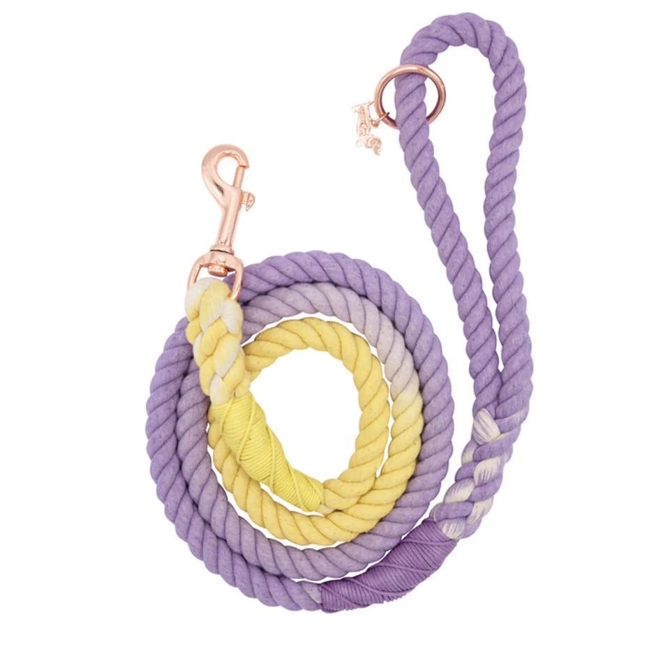 Rope Dog Leash - 5 ft - Pets Perfect