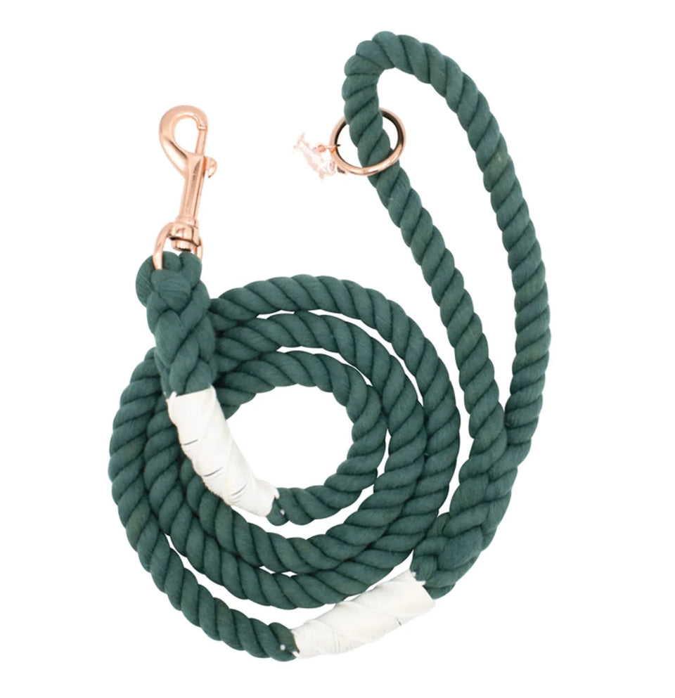Rope Dog Leash - 5 ft - Pets Perfect