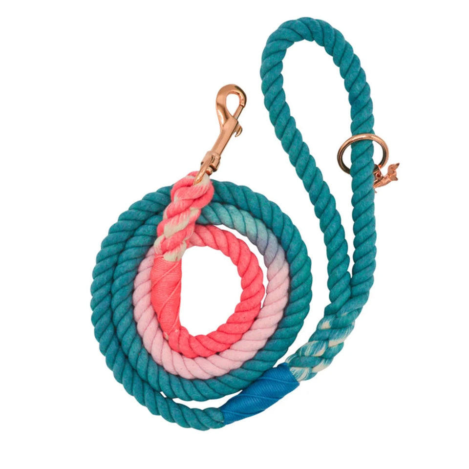 Rope Dog Leash - 5 ft - Pets Perfect