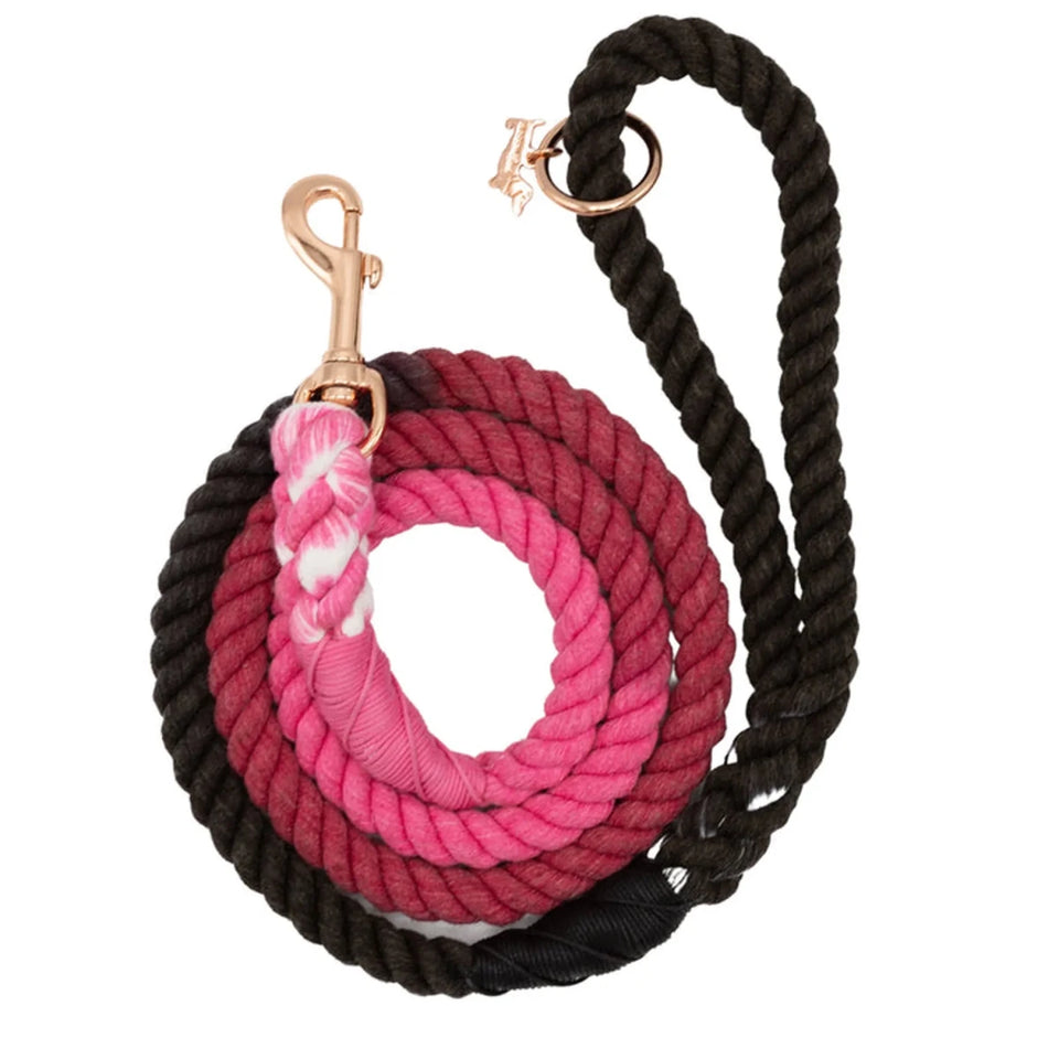 Rope Dog Leash - 5 ft - Pets Perfect
