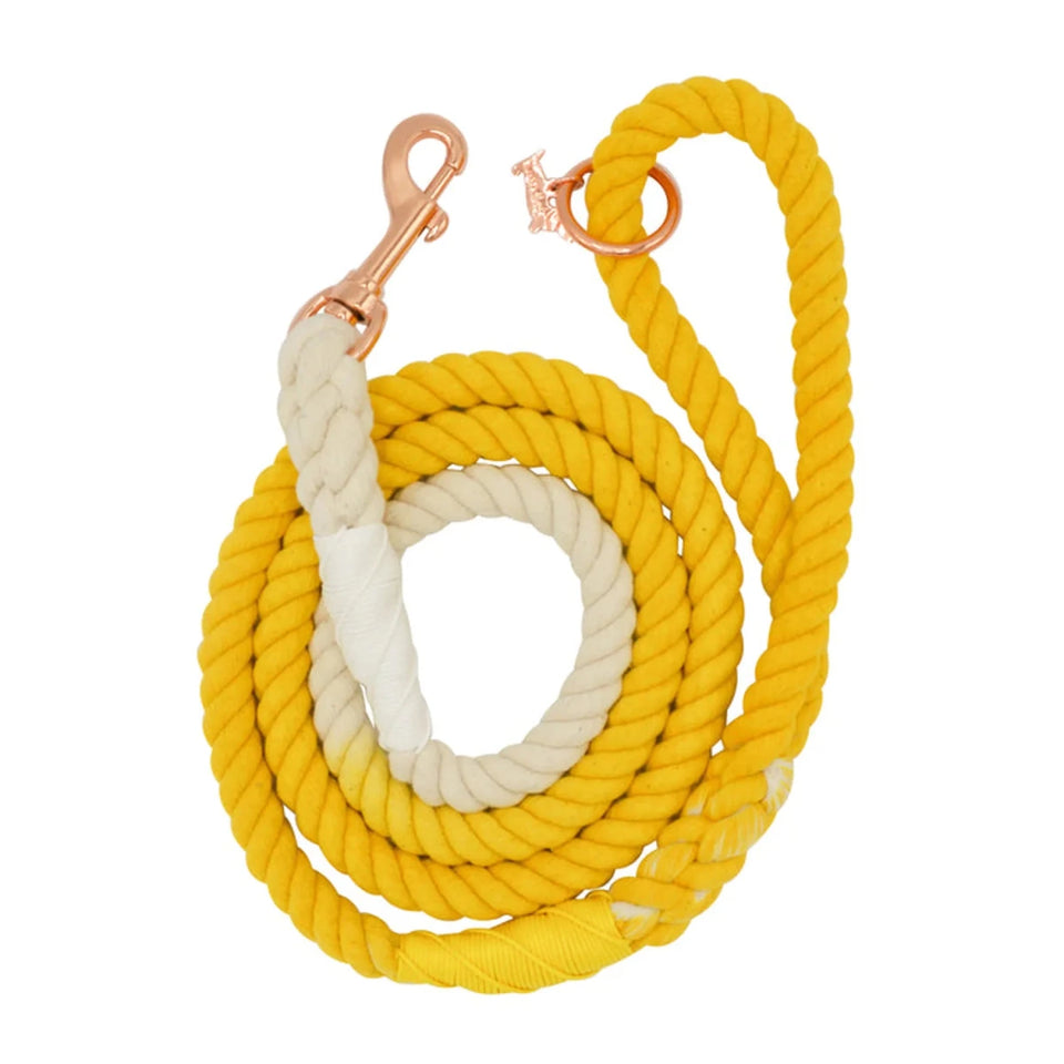 Rope Dog Leash - 5 ft - Pets Perfect