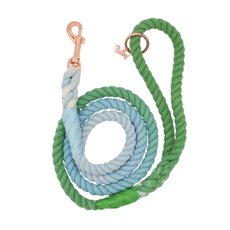 Rope Dog Leash - 5 ft - Pets Perfect