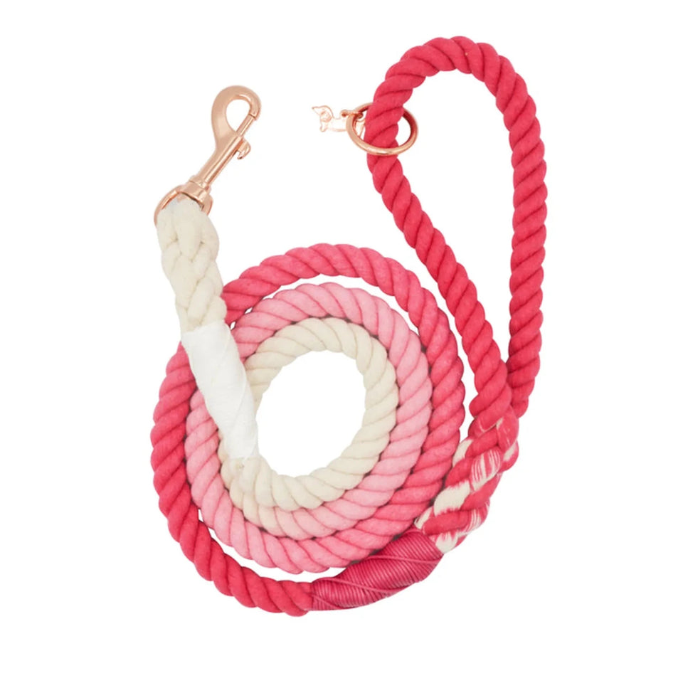 Rope Dog Leash - 5 ft - Pets Perfect