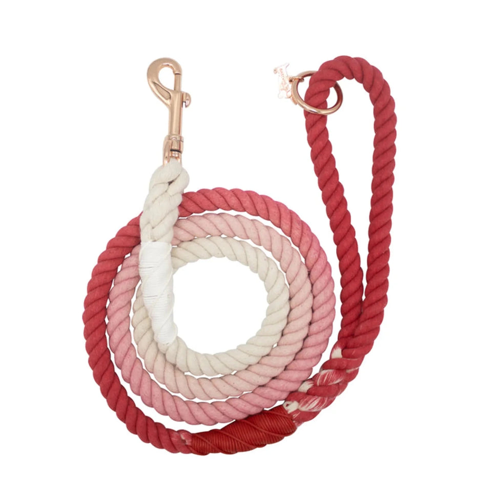 Rope Dog Leash - 5 ft - Pets Perfect