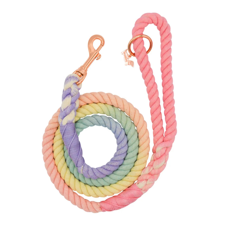 Rope Dog Leash - 5 ft - Pets Perfect