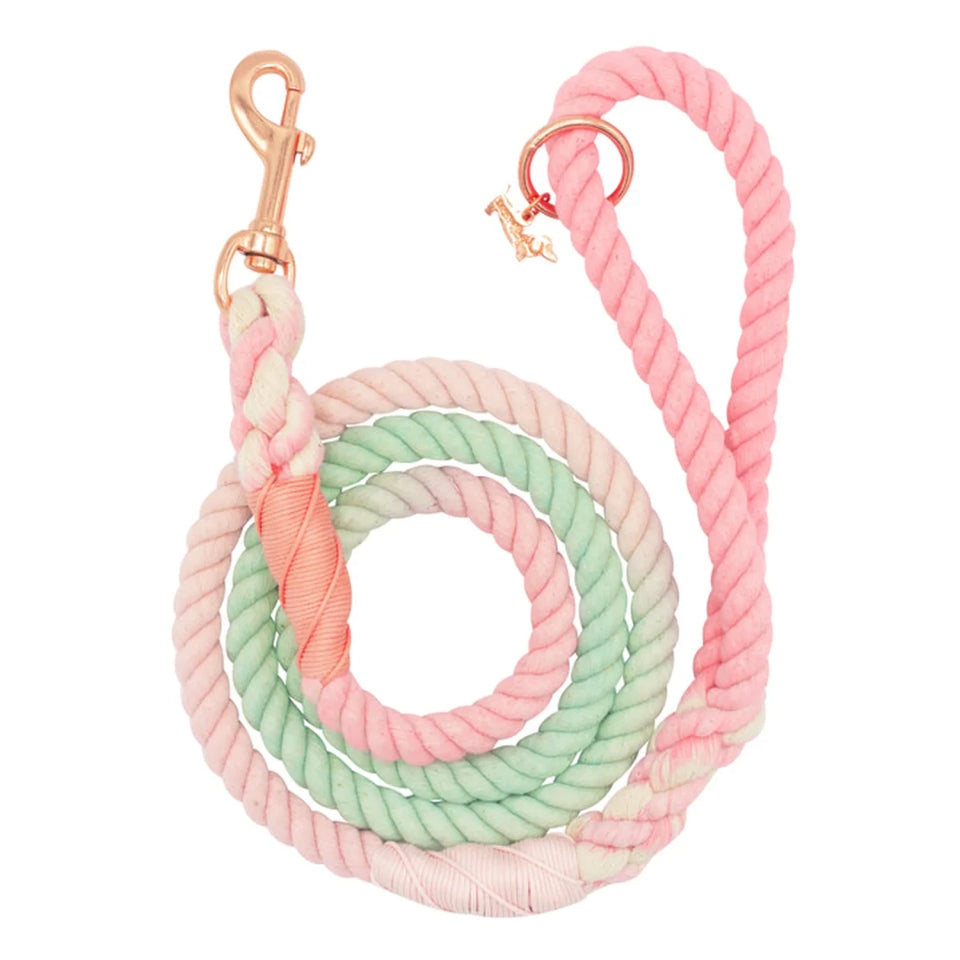 Rope Dog Leash - 5 ft - Pets Perfect