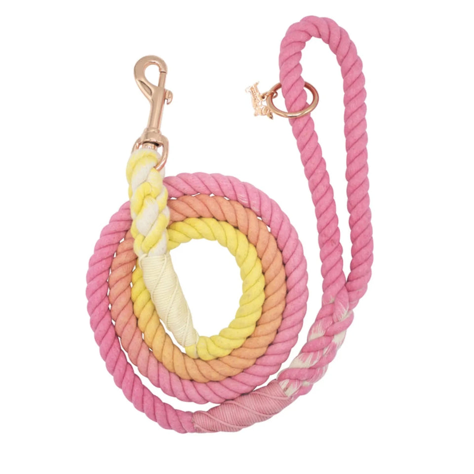 Rope Dog Leash - 5 ft - Pets Perfect