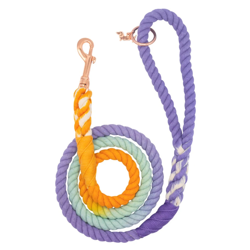 Rope Dog Leash - 5 ft - Pets Perfect