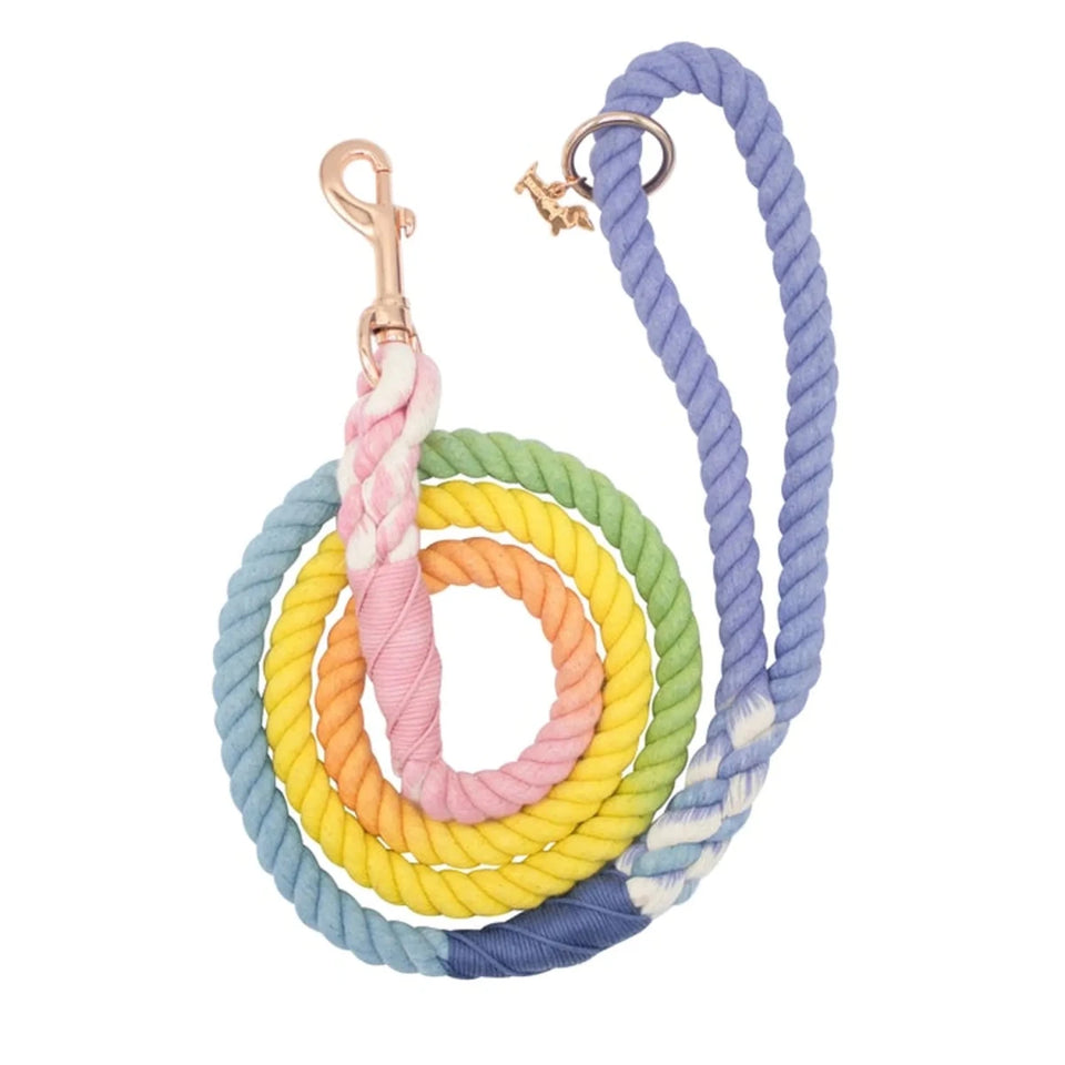 Rope Dog Leash - 5 ft - Pets Perfect